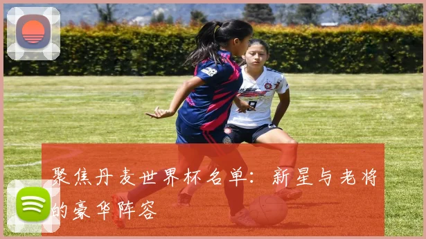 聚焦丹麦世界杯名单：新星与老将的豪华阵容
